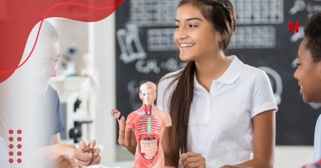 curiosidades sobre o corpo humano